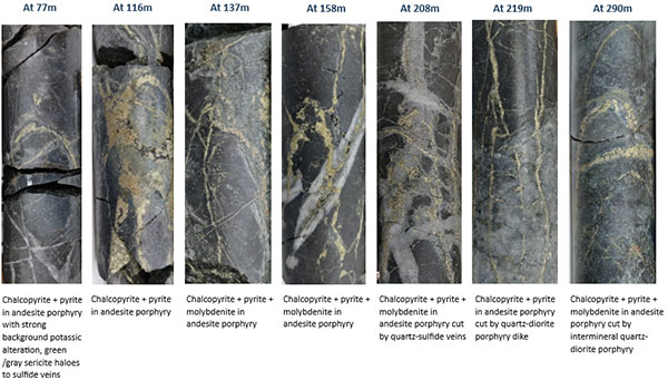 Figure 1 – Core Photos from SLSE-28